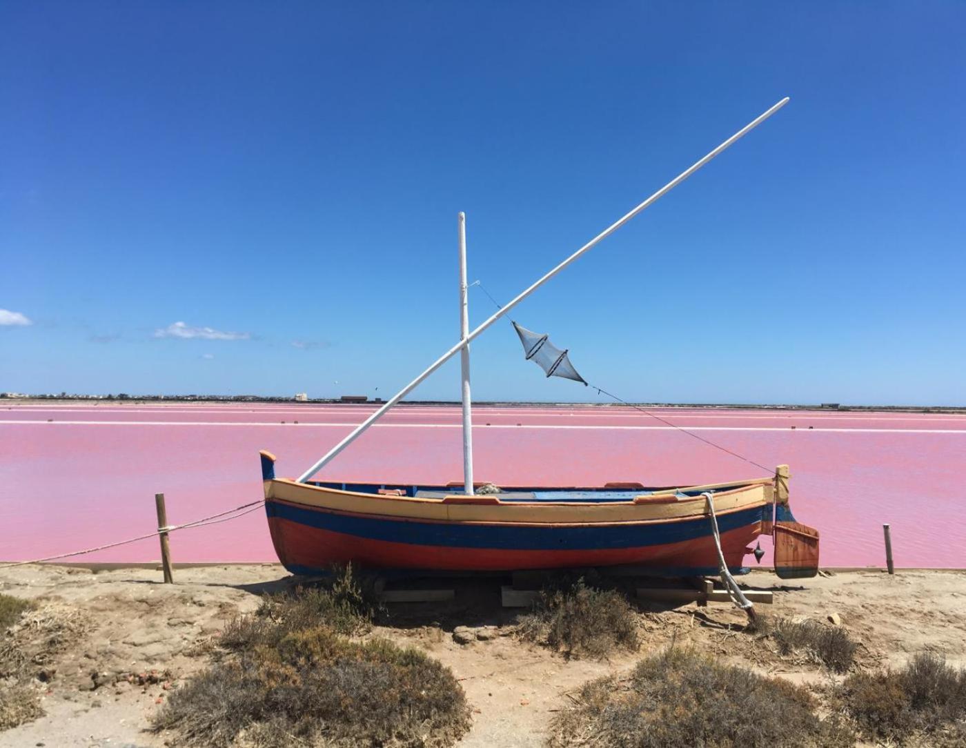 Maison De Vacances 8 A 15 Pers A Proximite Du Canal Du Midi Sallèles-dʼAude Eksteriør bilde